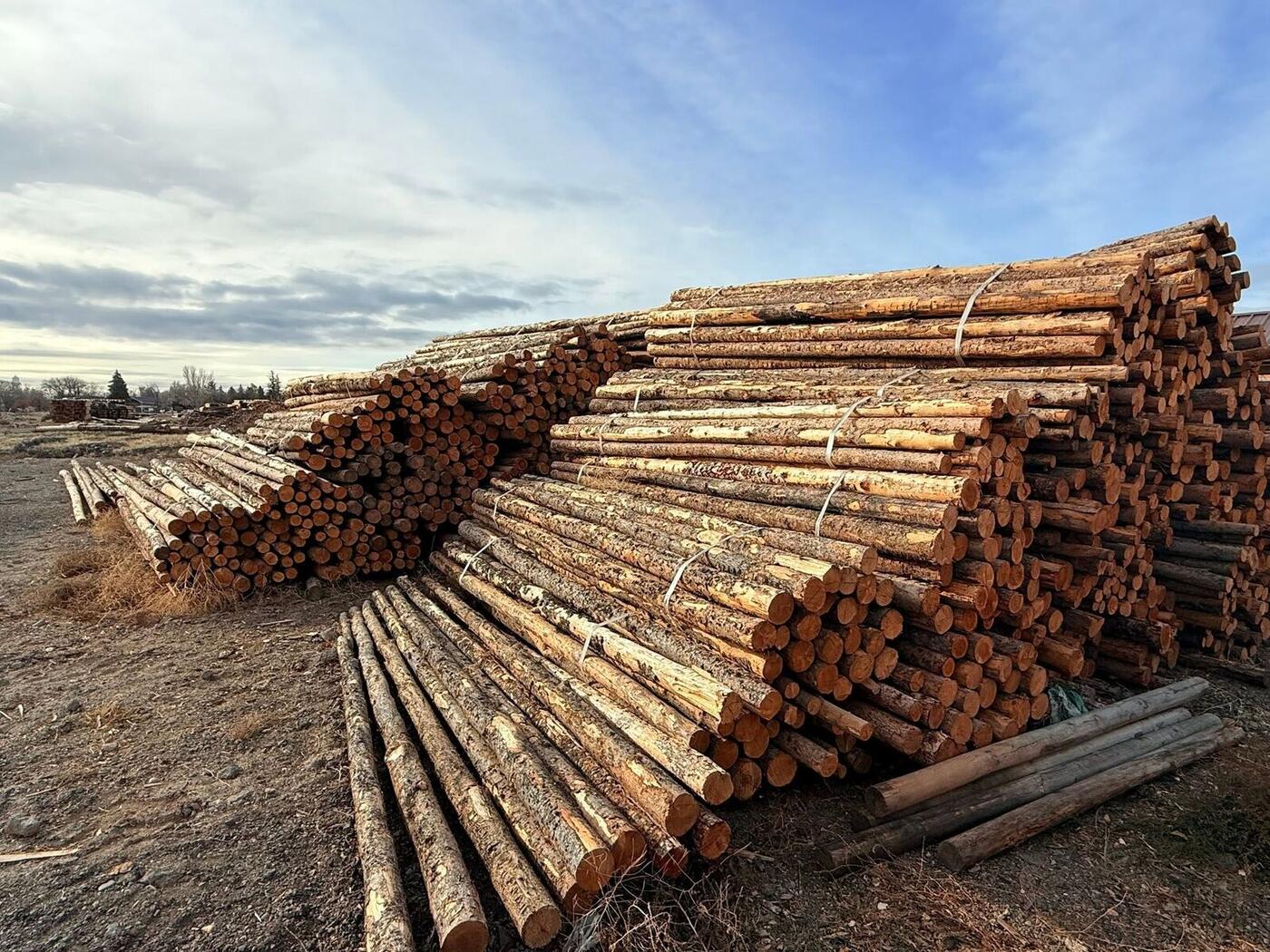 Stacked poles