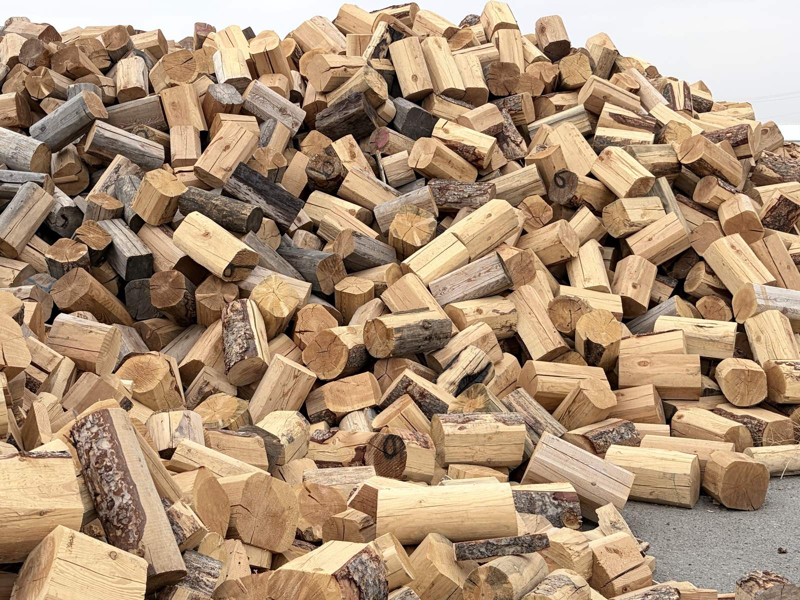 A mountain of split firewood on the Shoshone yard