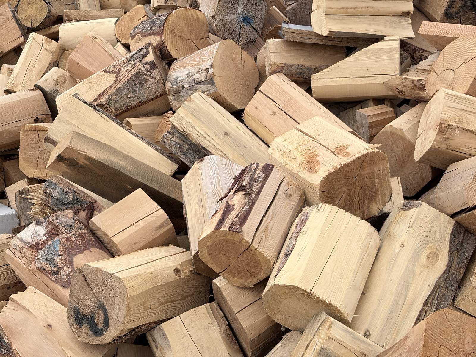 Close-up of freshly split firewood rounds