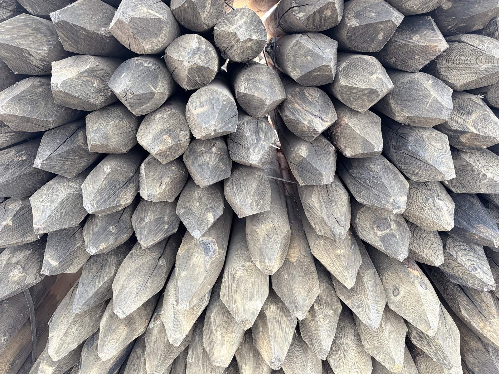 Pointed tips of freshly milled fence posts, stacked
